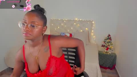 Snapshot of ananya_kay01 chatting on December 2024 04:53:01 AM A N A my connection hours are from 600 pm to 12 pm Colombian time online show from December 2024 04:53:01 AM