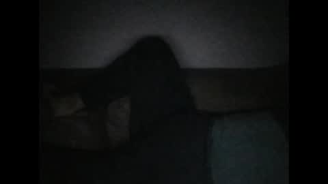 andellus online show from November 2025 11:18:02 PM