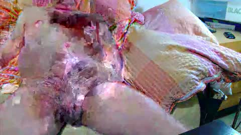 Snapshot of andi84k chatting on November 2025 04:34:02 AM Andi online show from November 2025 04:34:02 AM