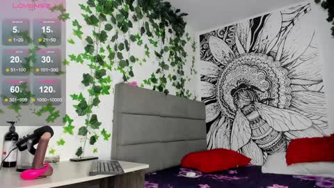 ANDREA online show from December 2024 02:57:02 PM