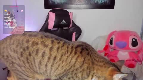 Snapshot of andreag_ chatting on March 2026 07:01:02 AM Andrea online show from March 2026 07:01:02 AM