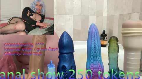 andrenoma427 online show from February 2026 08:36:02 PM