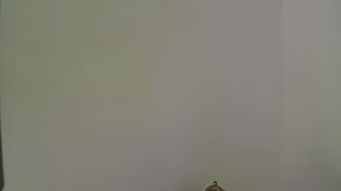 Snapshot of andres_stud chatting on October 2025 04:34:02 AM andres_stud online show from October 2025 04:34:02 AM