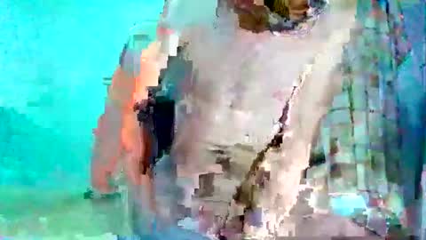 FLACO online show from December 2024 06:21:01 AM