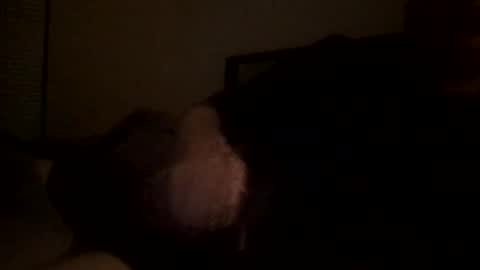 Snapshot of andresgarcia2424 chatting on December 2024 04:01:02 AM andresgarcia2424 online show from December 2024 04:01:02 AM