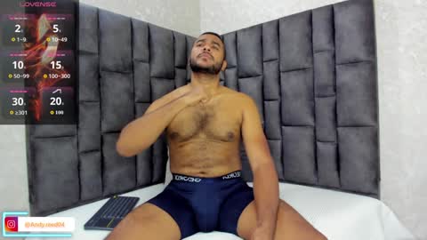 Snapshot of andyreed_ chatting on December 2024 04:09:02 PM Andy online show from December 2024 04:09:02 PM