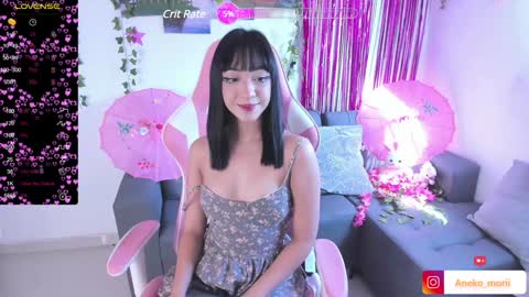 Snapshot of aneko_morii chatting on December 2024 02:33:01 PM online show from December 2024 02:33:01 PM
