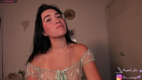 Snapshot of angeel_fox chatting on December 2024 01:34:02 AM Angel online show from December 2024 01:34:02 AM