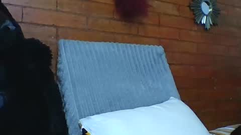 Snapshot of angela_mis chatting on December 2025 07:10:01 PM Angela online show from December 2025 07:10:01 PM