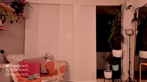 . online show from October 2025 11:06:02 PM