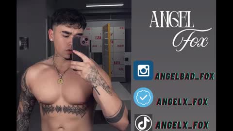 Angel Fox online show from September 2025 09:47:02 AM