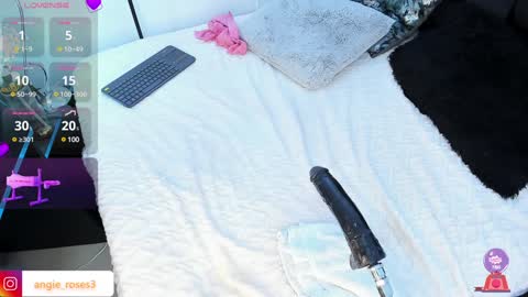 angiee roses online show from January 2025 05:13:01 AM