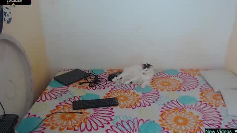 Snapshot of angielee01 chatting on January 2025 01:11:01 PM Angie y Andres online show from January 2025 01:11:01 PM