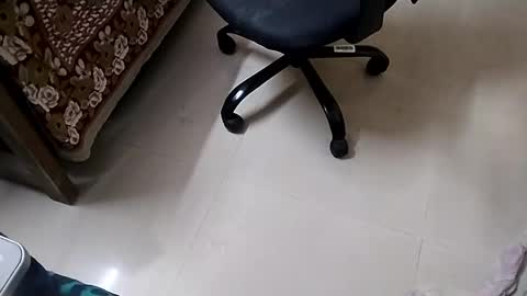 Snapshot of angryagent198 chatting on January 2025 11:39:02 PM Tutu22 online show from January 2025 11:39:02 PM