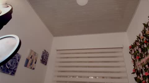 Snapshot of anielli69 chatting on February 2026 12:14:01 PM laura online show from February 2026 12:14:01 PM