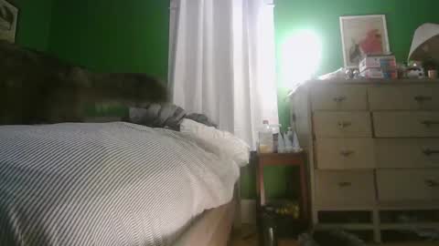 Snapshot of anilyseardor chatting on February 2026 11:30:02 AM Ani online show from February 2026 11:30:02 AM