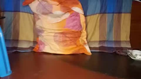 Snapshot of anis4551 chatting on September 2025 07:37:01 PM anis4551 online show from September 2025 07:37:01 PM