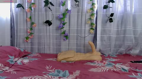 anissa_lee online show from December 2024 07:38:02 PM
