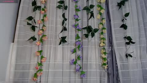 anissa_lee online show from January 2025 04:30:02 AM