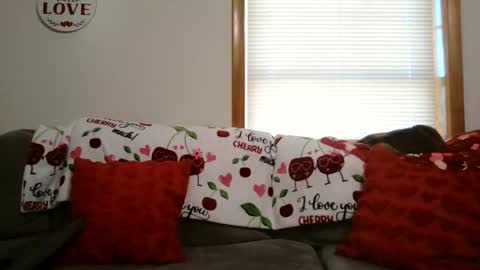 anne online show from January 2026 05:40:01 PM