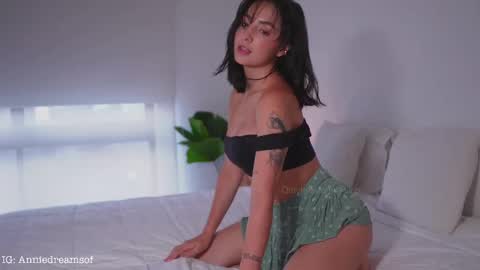 Snapshot of annie_dreams chatting on February 2025 07:14:01 PM Annie online show from February 2025 07:14:01 PM