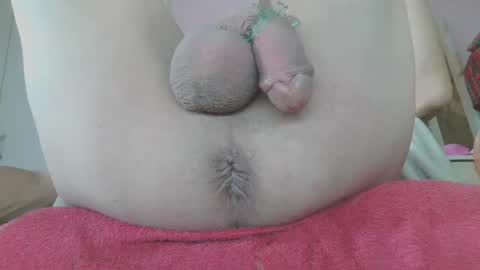 annitsx online show from March 2025 03:27:01 PM