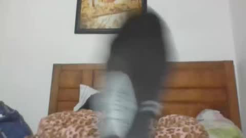 Annubis420 online show from October 2025 06:55:01 AM