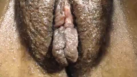 Anny online show from November 2025 04:23:02 AM