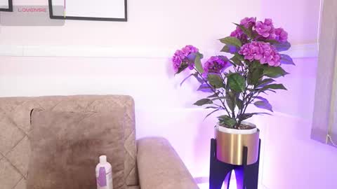 Ana online show from December 2025 12:11:02 PM