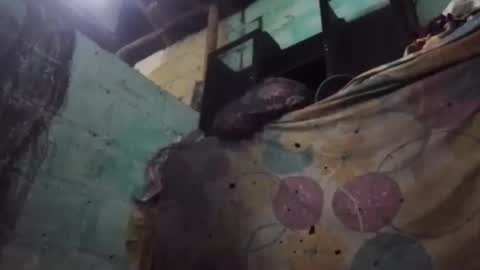 Snapshot of anonimode18cm1 chatting on March 2026 03:54:01 AM anonimode18cm1 online show from March 2026 03:54:01 AM