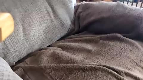 jay online show from November 2025 04:18:02 PM