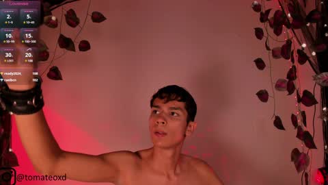 Snapshot of another_teo chatting on January 2025 09:29:02 AM Jordan Mateo online show from January 2025 09:29:02 AM