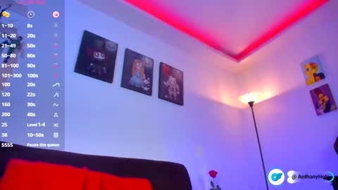   online show from February 2026 03:41:02 PM