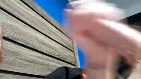 anthonyjonorth online show from February 2026 05:22:02 AM