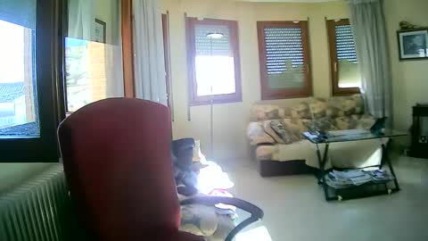 Snapshot of antonio2605 chatting on January 2025 11:19:02 AM Antonio online show from January 2025 11:19:02 AM