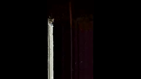 antony1495 online show from February 2026 04:18:02 AM