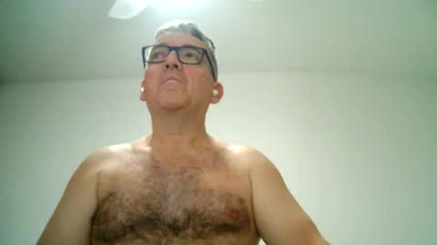 Snapshot of apixaba chatting on February 2025 10:15:02 PM furry bear online show from February 2025 10:15:02 PM