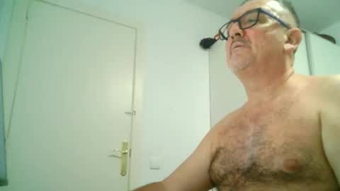 Snapshot of apixaba chatting on September 2025 10:53:01 PM furry bear online show from September 2025 10:53:01 PM