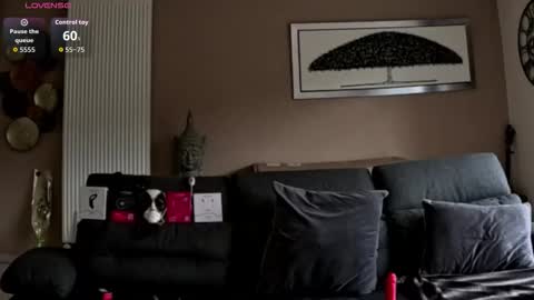 apollonfitx_69 online show from May 2026 04:37:01 PM