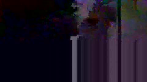 apolosimanu38 online show from May 2026 08:58:02 PM