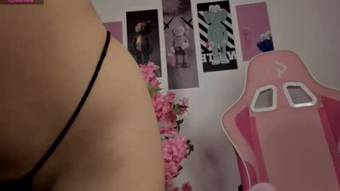 Snapshot of applebunny chatting on March 2026 10:49:02 PM online show from March 2026 10:49:02 PM