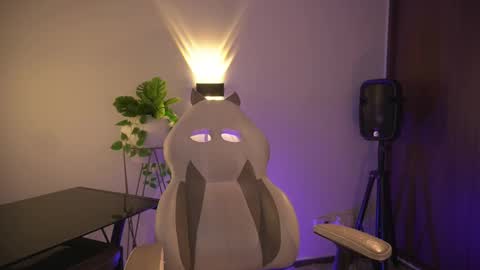 insta appolo master online show from March 2025 11:53:01 PM