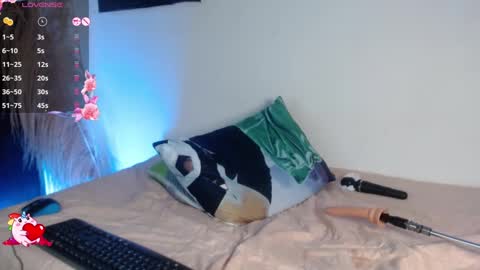          online show from September 2025 04:07:01 PM