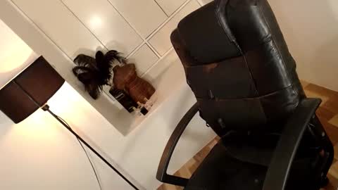 ARABELLA online show from April 2026 02:12:02 AM