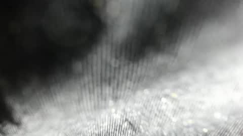 Arantza Hill online show from June 2026 08:21:01 PM