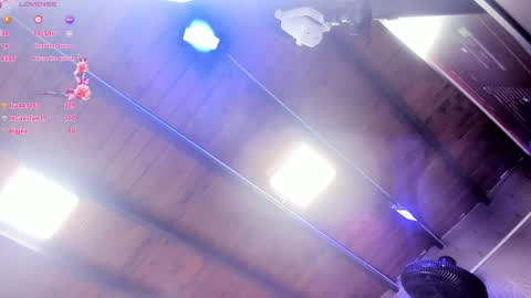 Snapshot of ari_monet chatting on January 2025 11:41:01 AM ARI online show from January 2025 11:41:01 AM