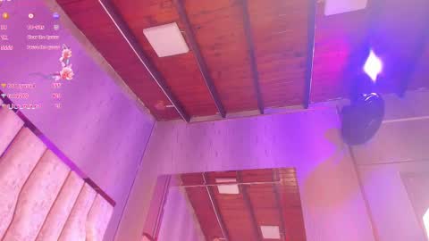 Snapshot of ari_monet chatting on February 2025 05:54:02 PM ARI online show from February 2025 05:54:02 PM