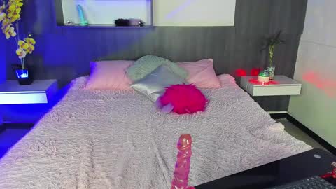 Snapshot of aria07_ chatting on February 2025 04:14:02 AM Ari online show from February 2025 04:14:02 AM