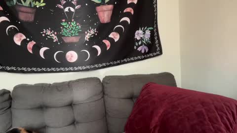 Aria Fields online show from December 2024 05:33:01 PM