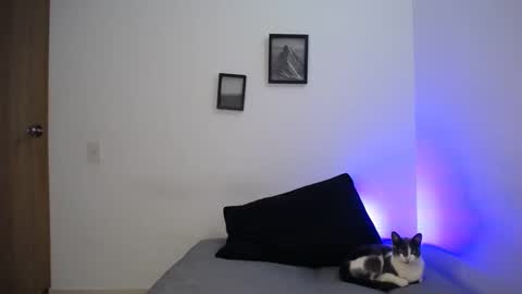 Snapshot of aria_jhonsson777 chatting on December 2024 05:40:02 AM 777 online show from December 2024 05:40:02 AM